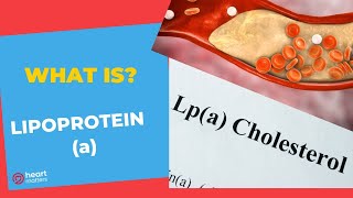 All About Lipoprotein a  Lpa  Why is it important [upl. by Gwyn480]