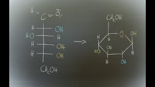 Von der Ketten zur Ringform  Halbacetalbildung der Glucose [upl. by Bunns]