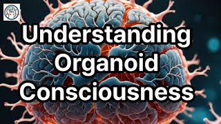 Understanding Organoid Consciousness The Next Frontier in Neuroscience and Ethics [upl. by Stefania]