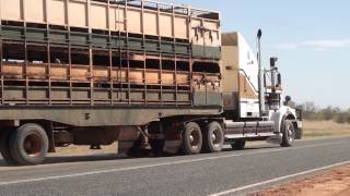 Road trains Central Australia [upl. by Normalie]