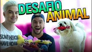 DESAFIO CANINO TREINAMENTO DA CACHORRINHA DO FELIPE PROFISSIONAL [upl. by Yahiya896]