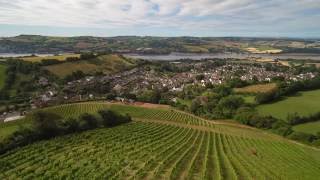 The Old Walls Vineyard Bishopsteignton [upl. by Ecirtap]