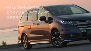 Newest Honda Odyssey Hybrid Official Japan Trailer  AutoMania [upl. by Ahsilam260]