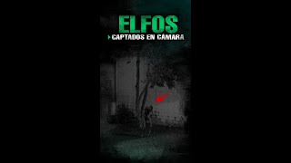 Elfos Captados en Cámara [upl. by Billmyre986]