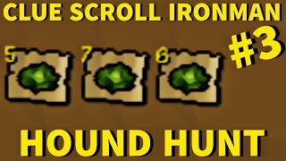 I HATE CABBAGE  Clue Scroll Ironman 3 Hound Hunt [upl. by Fleisher]