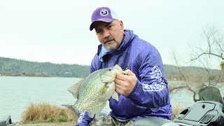 What Big Crappie Look Like On Livescope [upl. by Chuah]