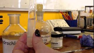 AQA Required Practical  Identifying ions Test for Sulfate Ions [upl. by Sesmar951]