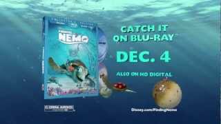 Finding Nemo  Available on Bluray Combo Pack December 4 [upl. by Moritz]