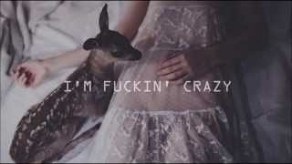 Melanie Martinez  Milk and Cookies lyrics video [upl. by Eutnoj]