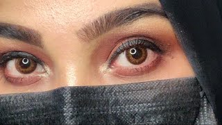 Basic Eye makeup using Affordable products of drugstore No filter Using 5 products for eye makeup [upl. by Davon]