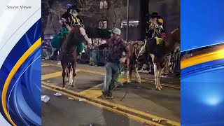 Horse collapses at Mardi Gras Parade in Downtown Mobile raw footage [upl. by Adriana]