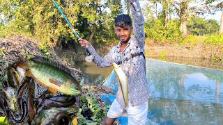 টেংরা ও শিং মাছ ধরতে গিয়ে বোয়াল মাছ ধরলাম।fishermanabhi hukfishing bigfish fish [upl. by Lebatsirhc]