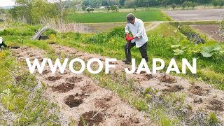 WWOOFF Japan Experience  Trip in Hokkaido  Exchange experience between wwoofer and host [upl. by Catherin641]