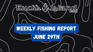 Fishing Report June 29th  Neely Henry Weiss Logan Martin Lay Guntersville Lake Martin Jordan [upl. by Enilram]