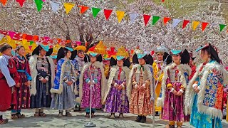 Apricot Blossom Festival 🌸  Lehdho  Leh Ladakh  2024 [upl. by Kameko249]