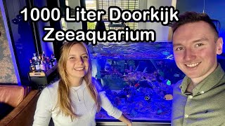 Nieuw 1000 Liter DoorkijkZeeaquarium Daniëllevlog [upl. by Rosati]