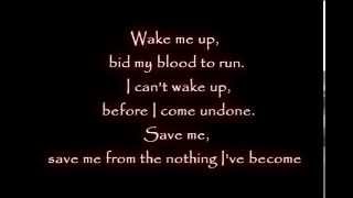 Evanescence Amy Lee Wake me up Inside Lyrics [upl. by Epps538]