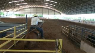 Rancho JS  Laço em Mula  A História de um Pionerismo [upl. by Eltrym]