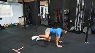 Banded Fire Hydrant  Band  Strength and Conditioning Exercises [upl. by Ytnom]