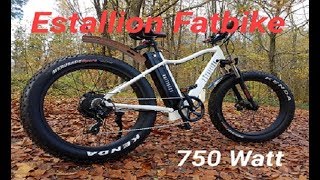 EBike Estallion 750 Watt FATBIKE 1000 Watt max [upl. by Ahseiyn846]