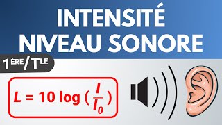 INTENSITÉ SONORE amp NIVEAU DINTENSITÉ SONORE ✅ Terminale Spécialité  Physique [upl. by Pavla420]