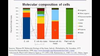 3 1 macromolecules [upl. by Sillyrama553]