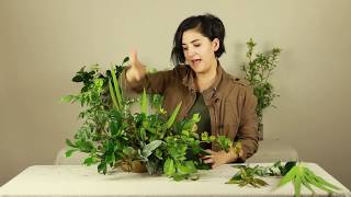 How to Design an All Greenery Arrangement [upl. by Dauf967]