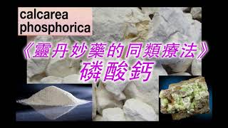 《靈丹妙藥的同類療法》 EP46  磷酸鈣 Calcarea Phosphorica [upl. by Melany16]