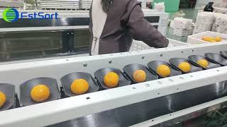 Commercial processing technology for citrusorange sorting grading machine​fruit processing lines [upl. by Neron]