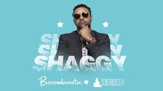 Shaggy  Bombastic Lyrics [upl. by Yasu]