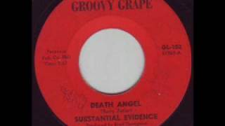 Substantial Evidence  Death Angel [upl. by Higley]