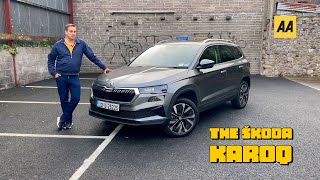 Skoda Karoq 10 TSI Style  is the entrylevel engine the one to get [upl. by Aitam]