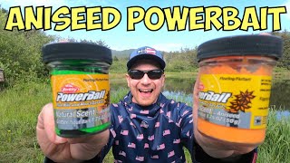 Aniseed Trout Powerbait Summer Trout Fishing Challenge Can All 5 Colors Work [upl. by Namyw]