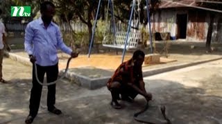 Snake at the residence of SP in Sunamganj [upl. by Ecyarg173]