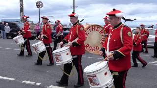 The East Of Scotland Big Walk 2017  Prestonpans  4KUHD [upl. by Qiratla583]