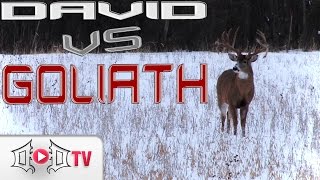 DAVID VS GOLIATH Largest Wild Buck EVER Caught On Camera [upl. by Aianat]