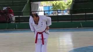 Kobudo Shin Shu Kan [upl. by Bohon]