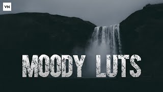 VN lut filter free download  Moody lut pack  Vn lut  Vn video editor [upl. by Suivat]