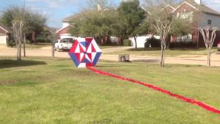 Kite Flying In Colors [upl. by Anaiad]