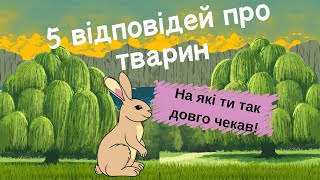 5 відповідей про тварин Інфасотка [upl. by Aramoy921]