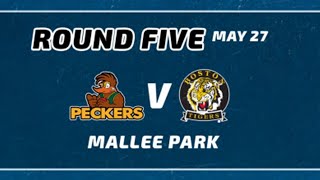 PLFL Round 5 Mallee Park V Boston [upl. by Sabine881]