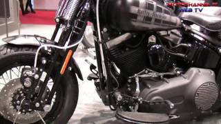 Harley Davidson FLSTSB Softail Cross Bones [upl. by Ahsoj]