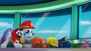 PAW Patrol Mighty Pups Tales  Good bye Paw Patrol [upl. by Leshia]