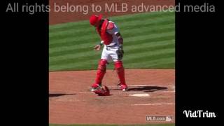 Baseball gets stuck on Yadier Molinas chest protector [upl. by Obnukotalo]