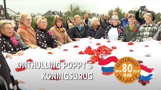 80 Jaar Bevrijding  Onthulling gehaakte Poppys Koningsbrug [upl. by Aicilif]