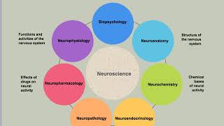 13 Biopsychology’s Role in Neuroscience [upl. by Joscelin]