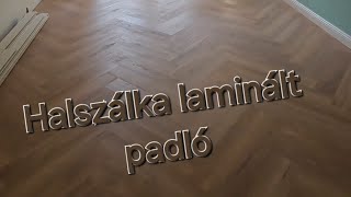 Halszálka laminált padló [upl. by Aisylla]