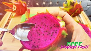 AMERICAN BEAUTY DRAGON FRUIT TASTE and REVIEW  Pine Island Nursery  Quang Ong Self Fertile [upl. by Narmi595]