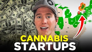 Building a Cannabis Startup Overcoming Legal and Financial Hurdles [upl. by August645]