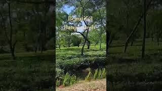 somewhere bangladesh 🇧🇩🙏 song music bangladesh  newsong spotify love [upl. by Birecree]